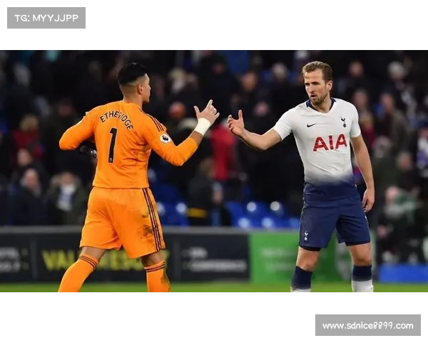 从选拔到入选详解凯恩进入国家队全过程及背后运作机制 从选拔到入选详解凯恩进入国家队全过程及背后运作机制